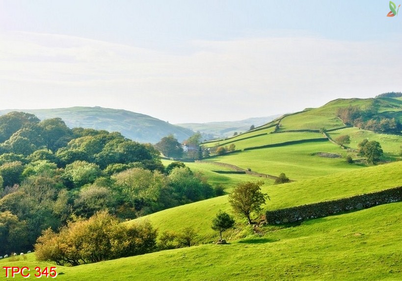 Tranh phong cảnh 345