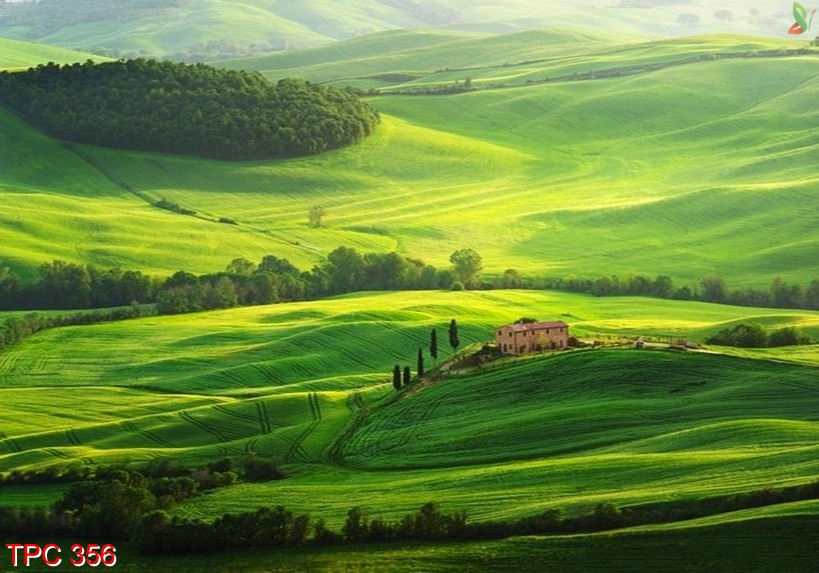 Tranh phong cảnh 356