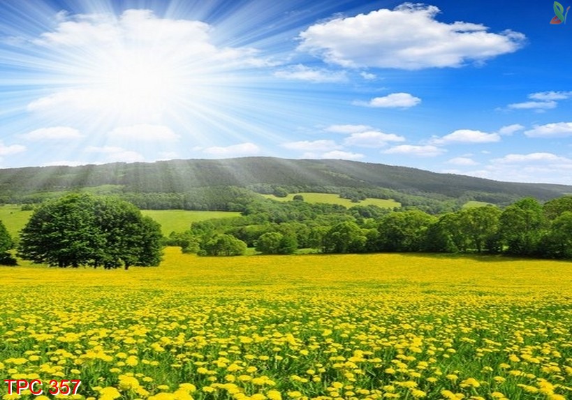 Tranh phong cảnh 357