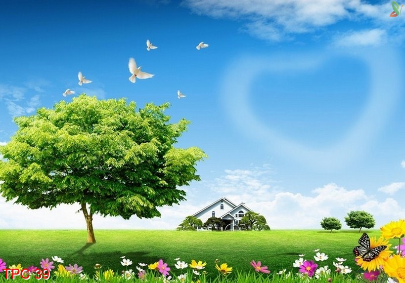 Tranh phong cảnh 39