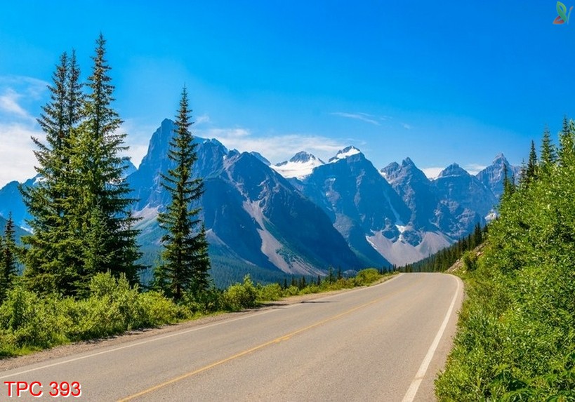 Tranh phong cảnh 393