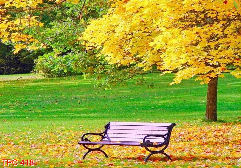 Tranh phong cảnh 418