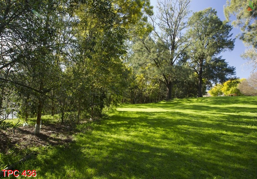 Tranh phong cảnh 436