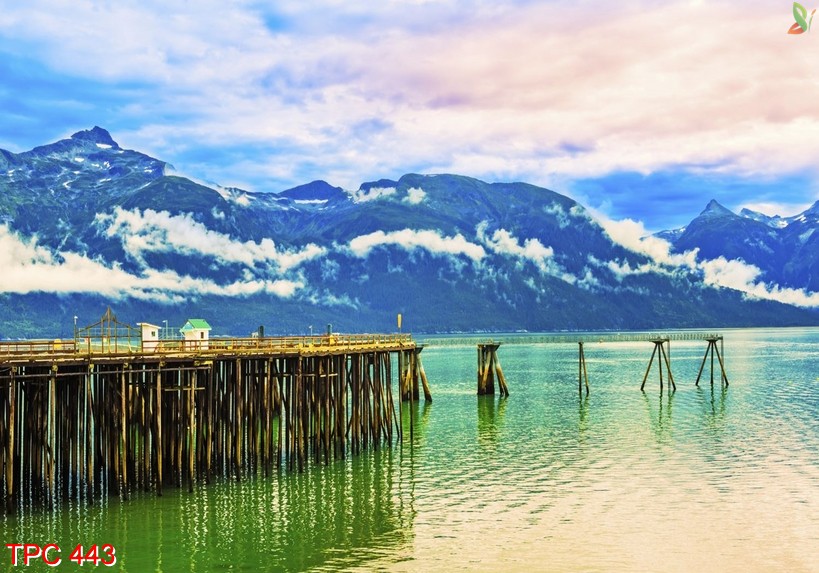 Tranh phong cảnh 443