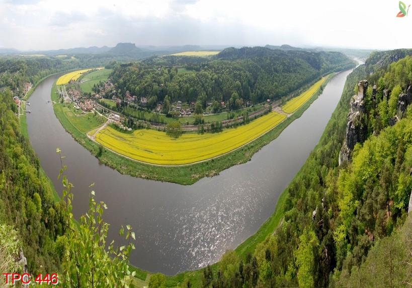 Tranh phong cảnh 446