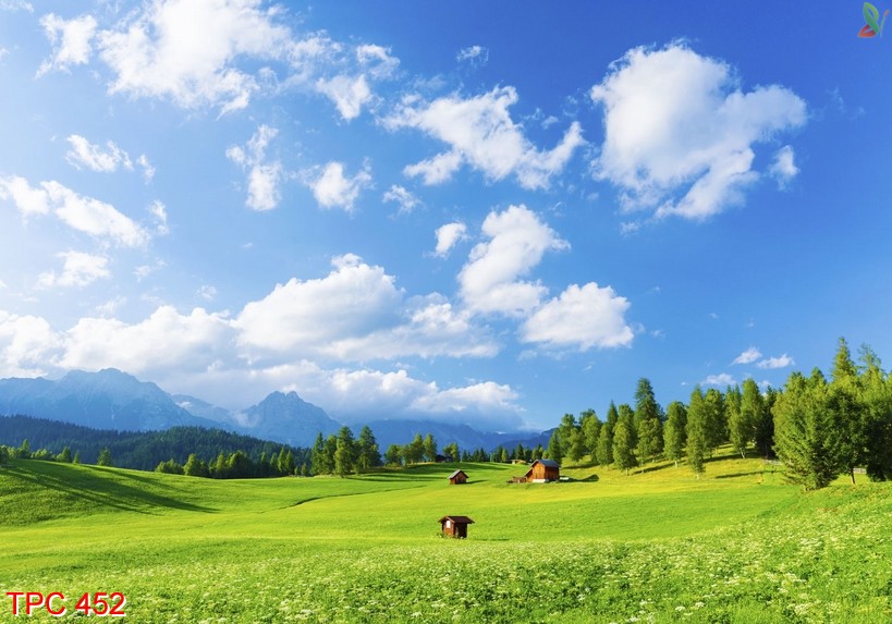 Tranh phong cảnh 452