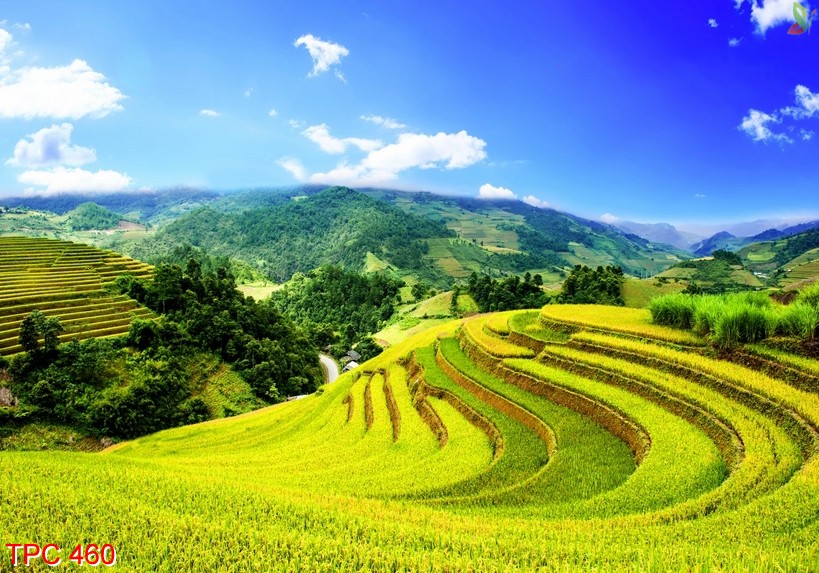 Tranh phong cảnh 460