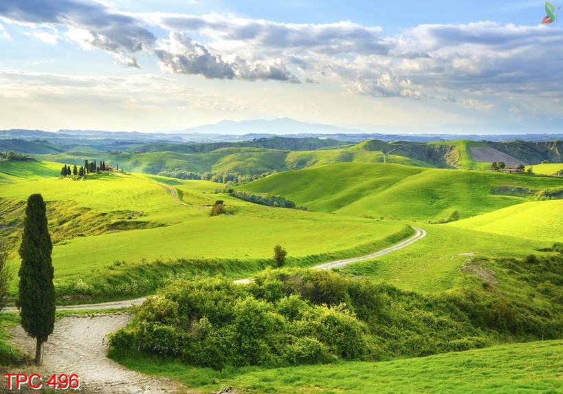 Tranh phong cảnh 496