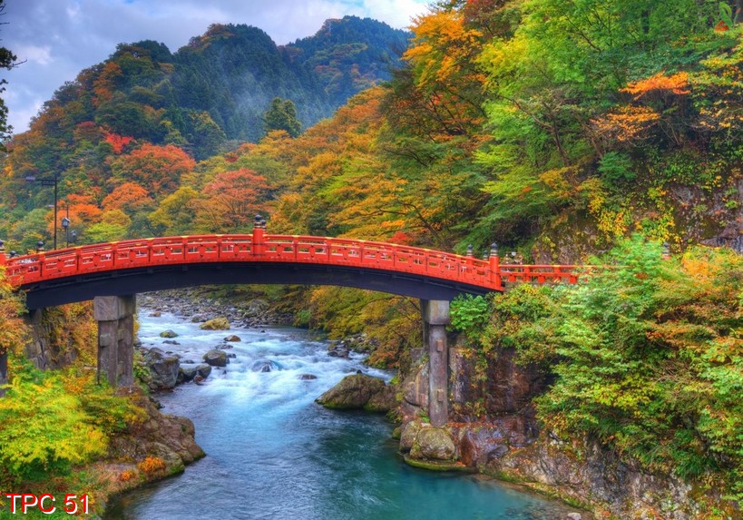 Tranh phong cảnh 51