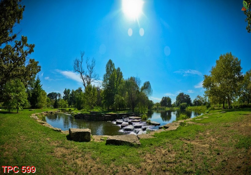 Tranh phong cảnh 599