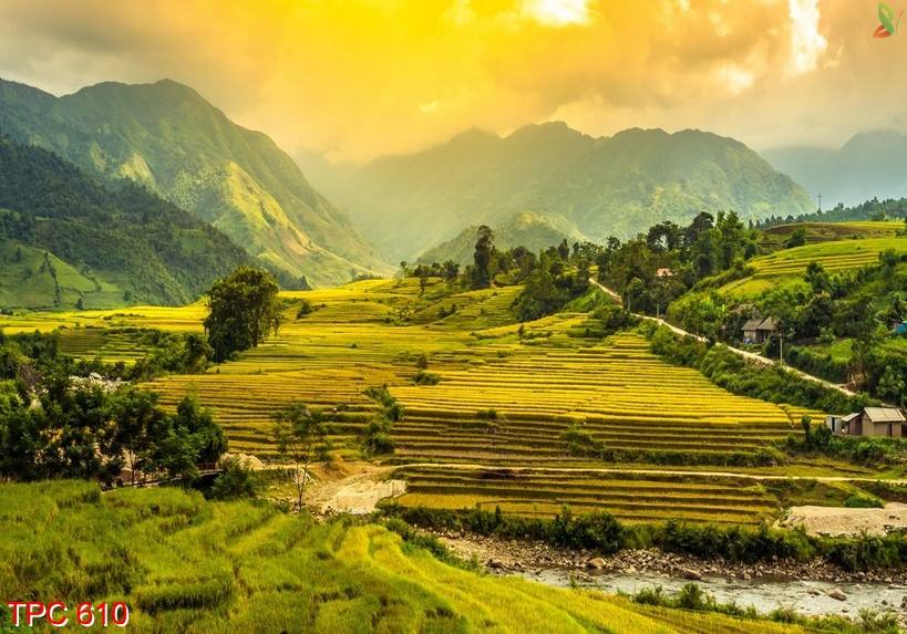 Tranh phong cảnh 610