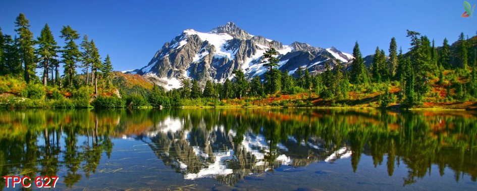 Tranh phong cảnh 627