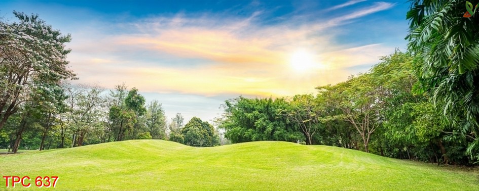 Tranh phong cảnh 637