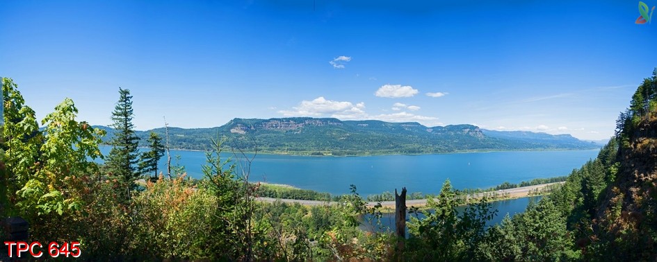 Tranh phong cảnh 645