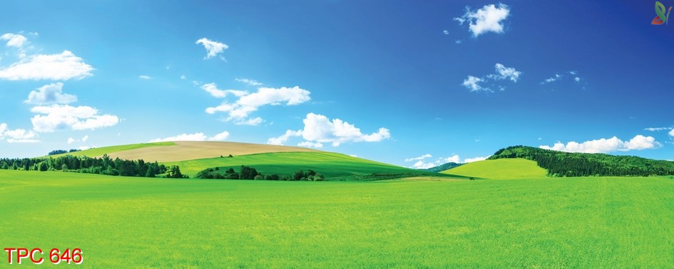 Tranh phong cảnh 646