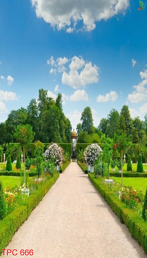 Tranh phong cảnh 666