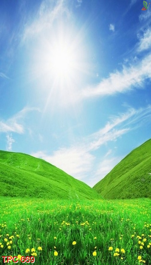 Tranh phong cảnh 669