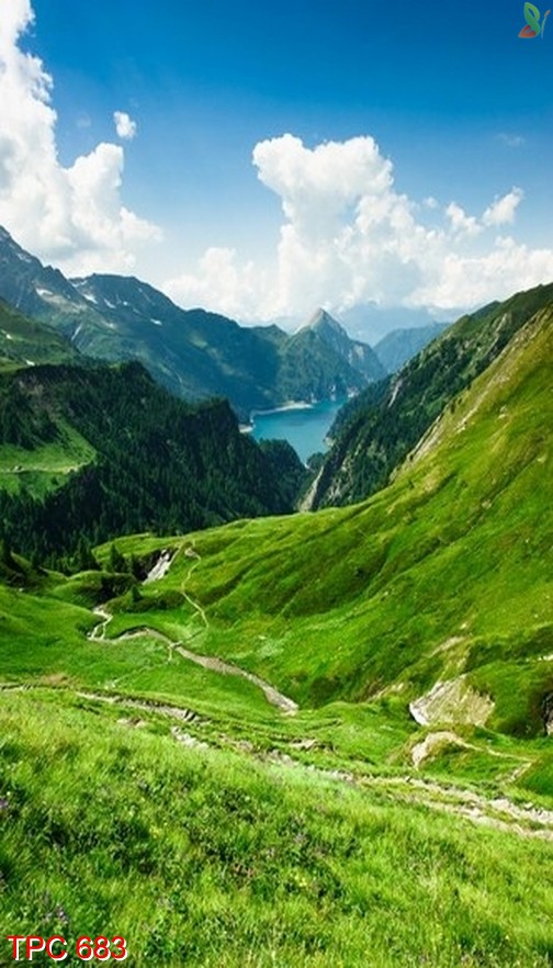 Tranh phong cảnh 683