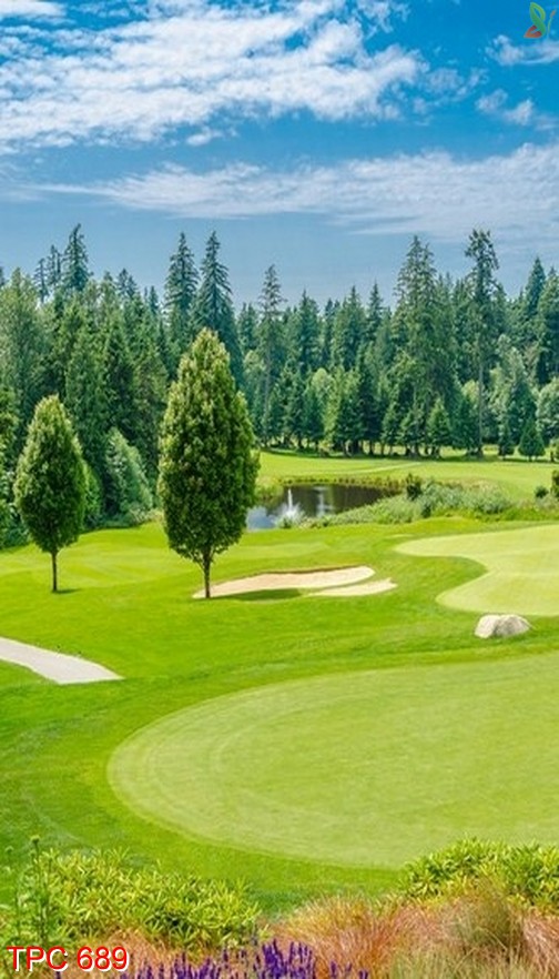 Tranh phong cảnh 689