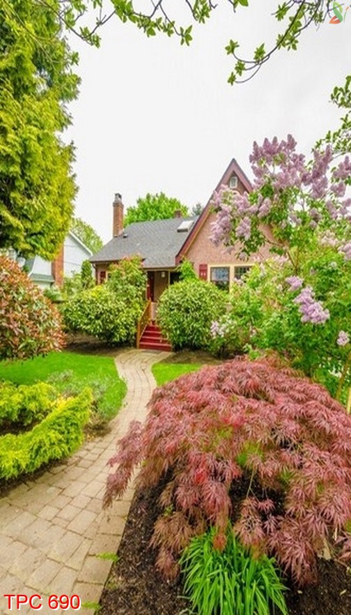 Tranh phong cảnh 690