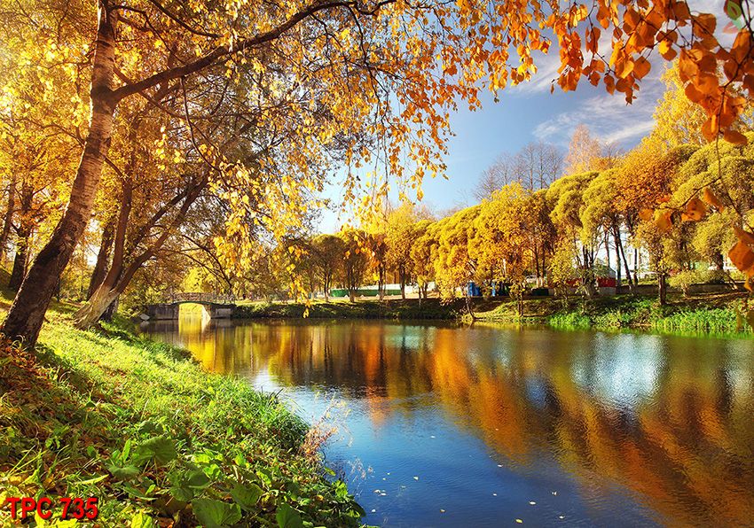 Tranh phong cảnh 735