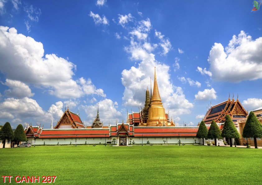 Tranh thắng cảnh 267