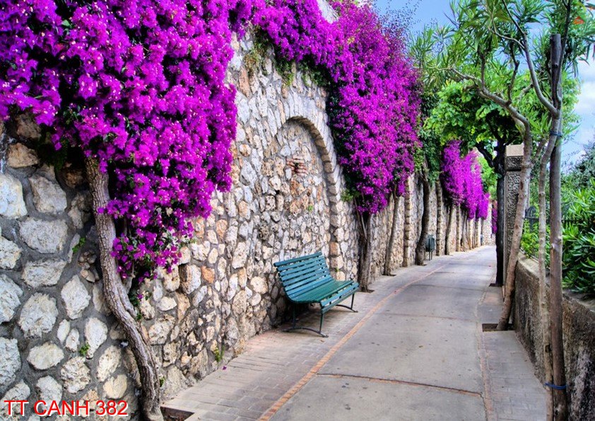 Tranh thắng cảnh 382