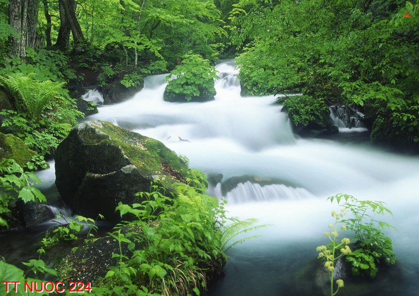 Tranh thác nước 224