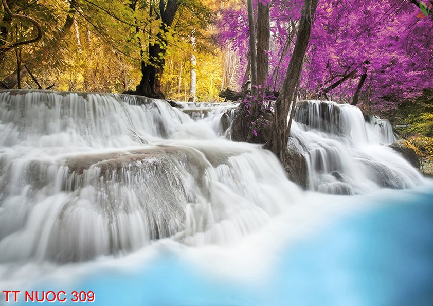 Tranh thác nước 309