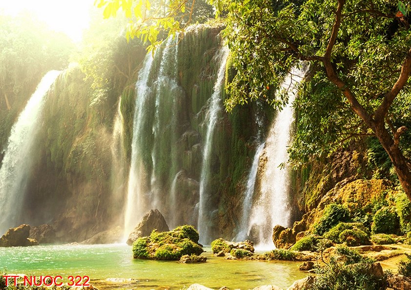 Tranh thác nước 322
