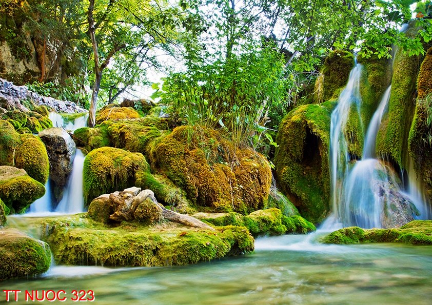 Tranh thác nước 323