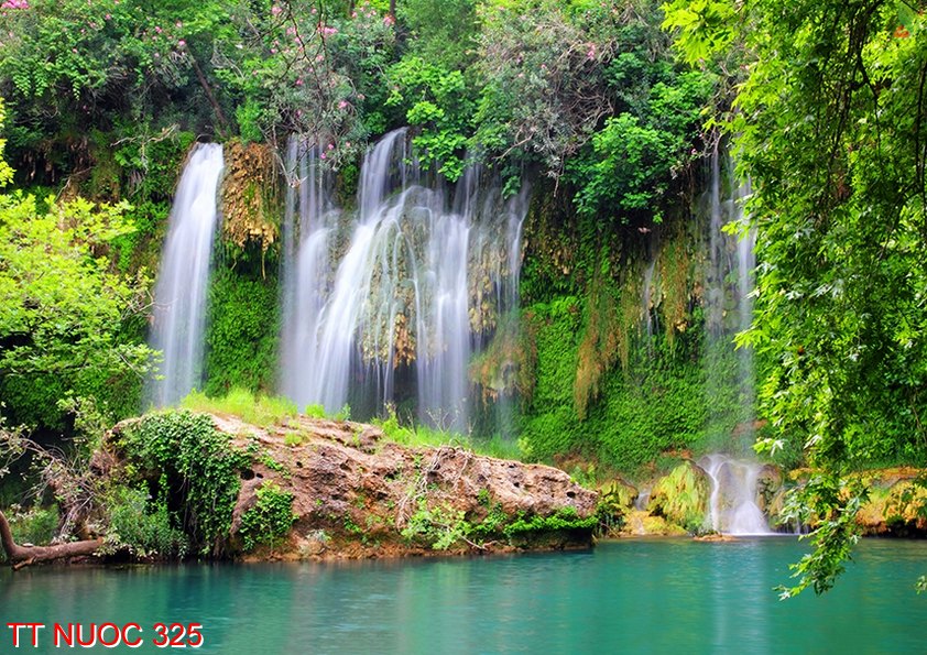 Tranh thác nước 325
