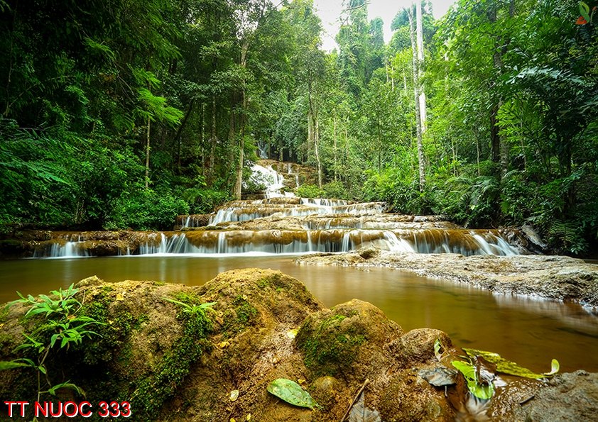Tranh thác nước 333