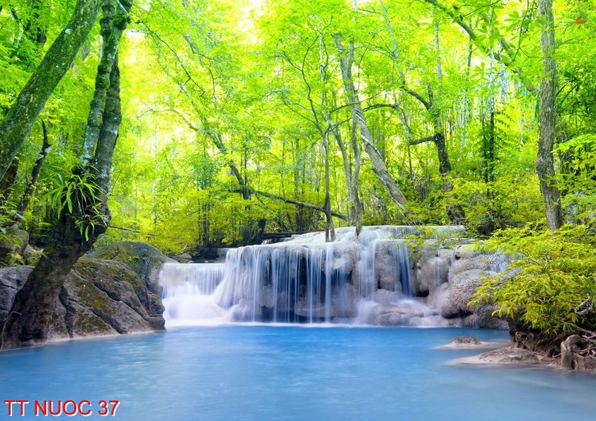 Tranh thác nước 37