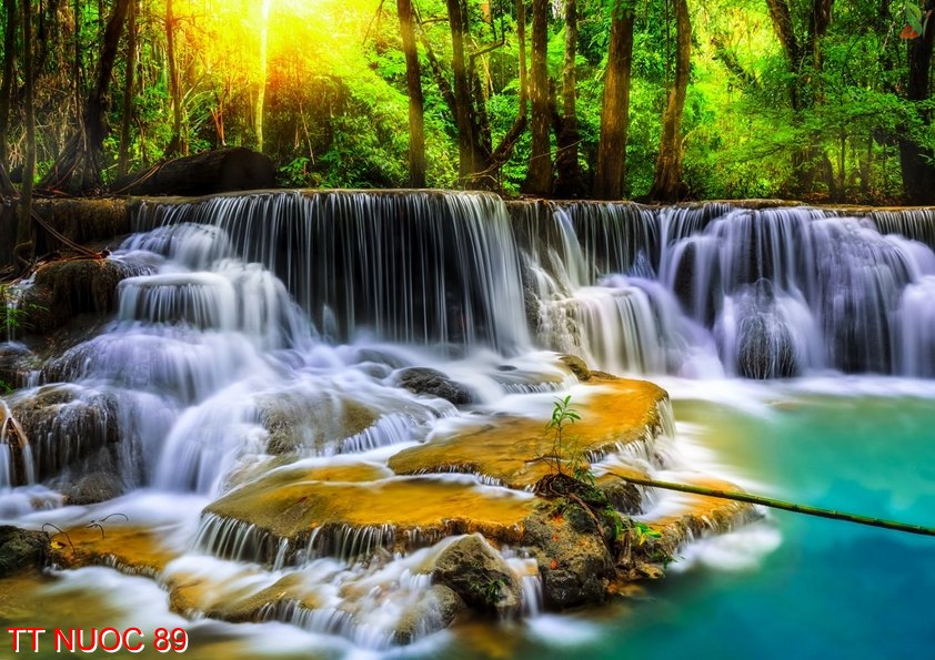 Tranh thác nước 89
