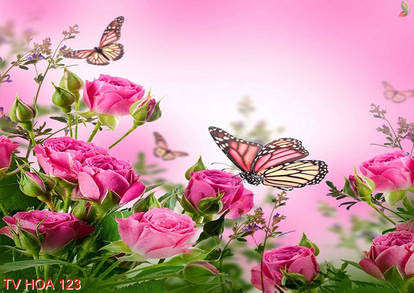 Tranh về hoa 123