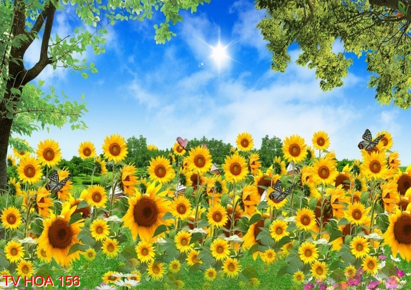 Tranh về hoa 156