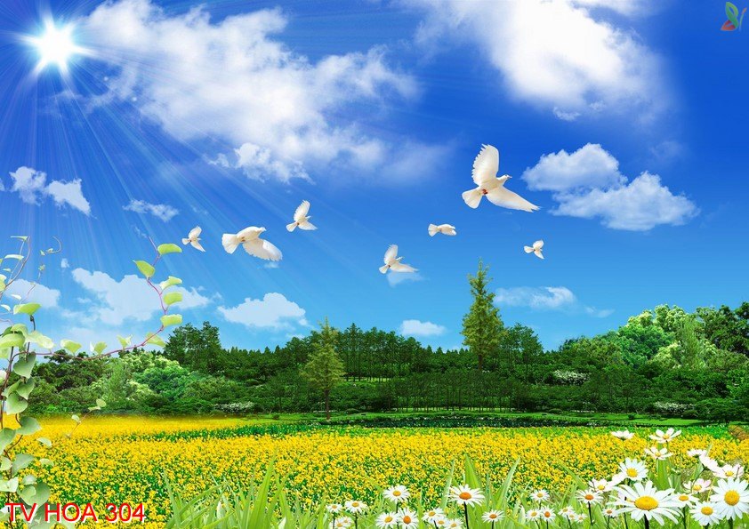 Tranh về hoa 304