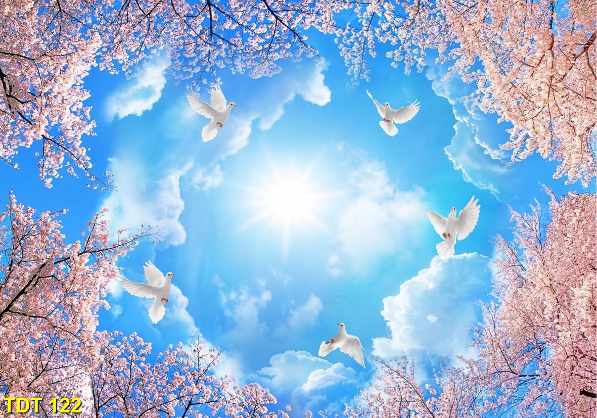 Tranh dán trần TDT 122