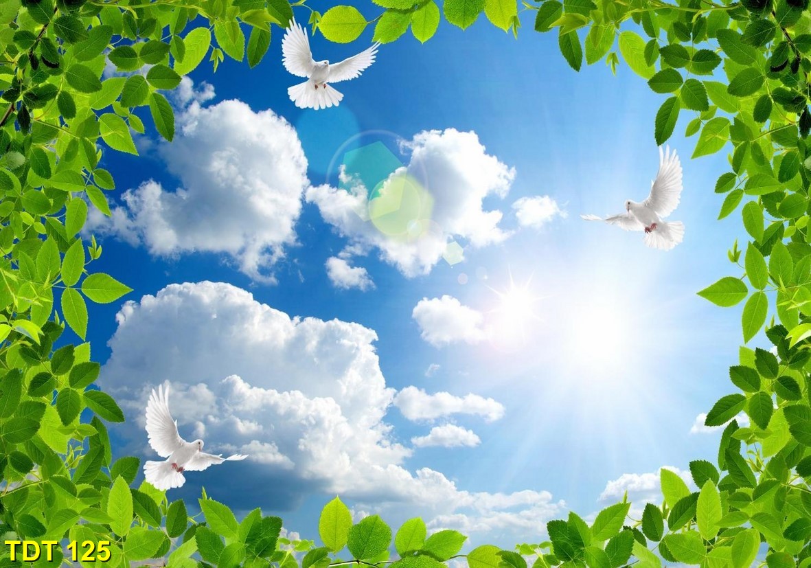 Tranh dán trần TDT 125