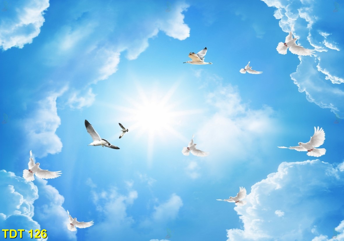 Tranh dán trần TDT 126