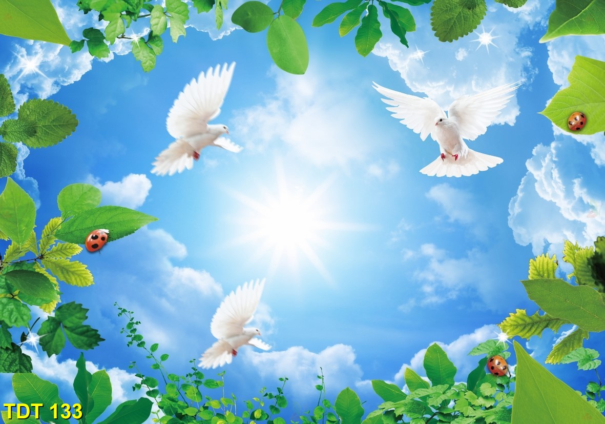 Tranh dán trần TDT 133