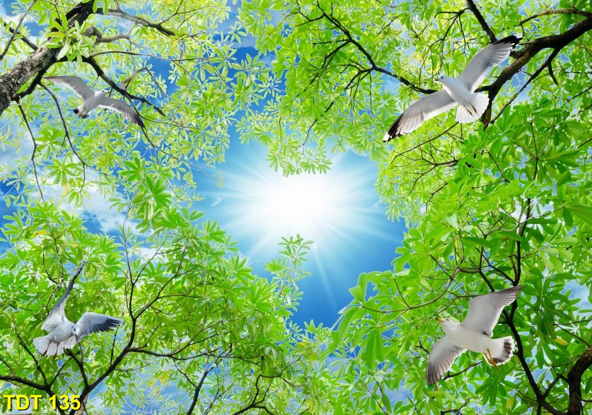 Tranh dán trần TDT 135