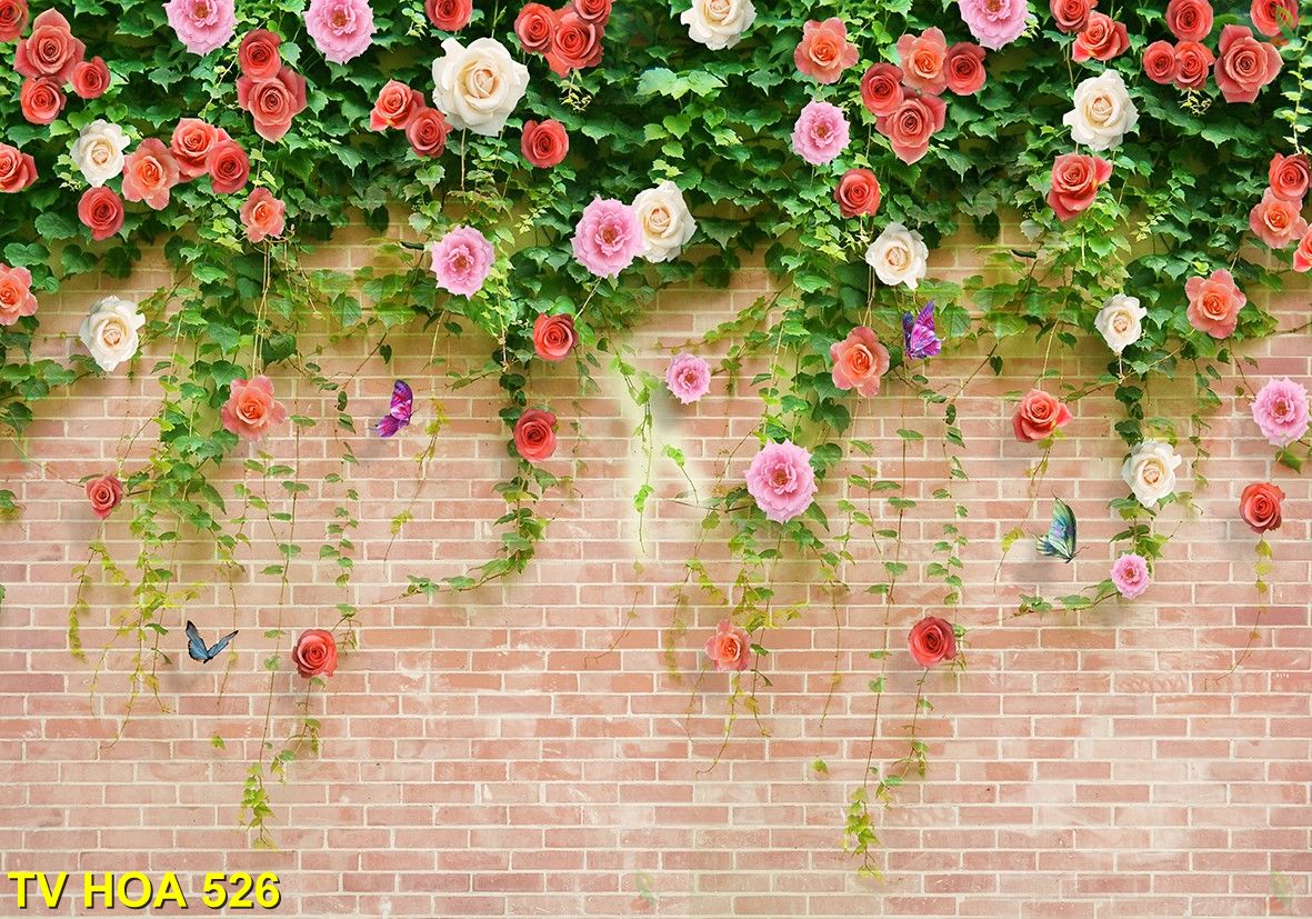 Tranh về hoa TV Hoa 526